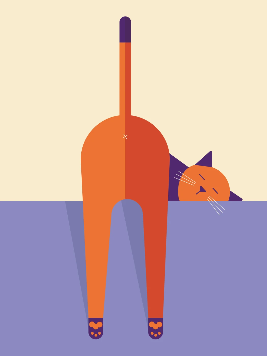 Katze im Stretch – Motivansicht